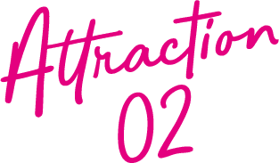Attraction 02