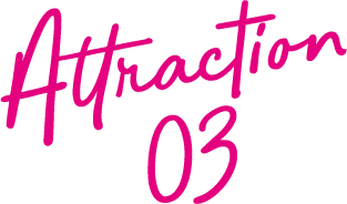 Attraction 03